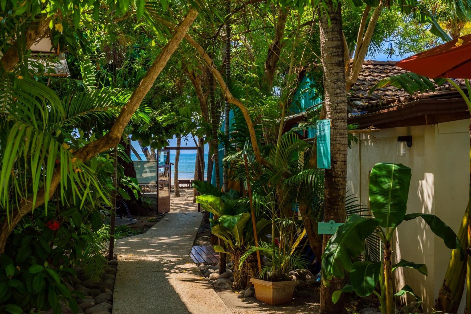 The Coast Beachfront Hotel Tamarindo Luaran gambar